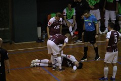 IMG_7930 IMG_7930