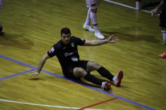 IMG_7942 IMG_7942