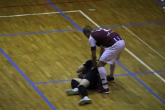 IMG_7951 IMG_7951