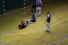 IMG_7994 IMG_7994