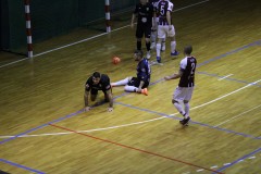IMG_7995 IMG_7995