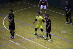 IMG_8013 IMG_8013