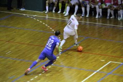 IMG_8811 IMG_8811