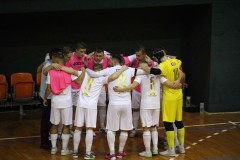 IMG_8842 IMG_8842
