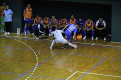 IMG_8868 IMG_8868